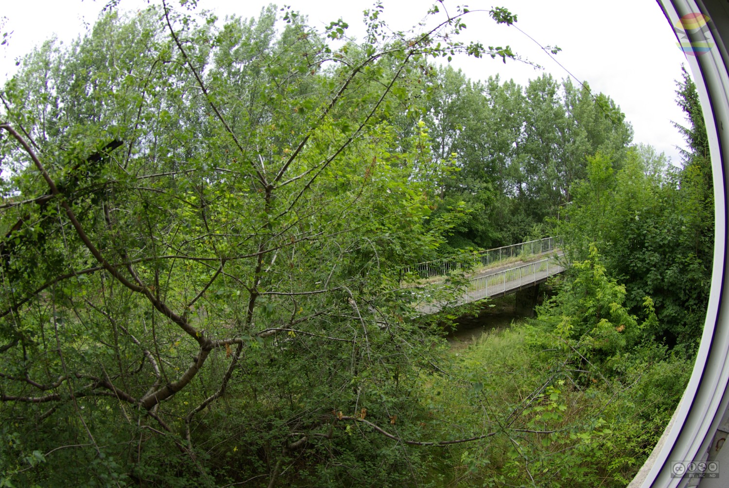 picture 30