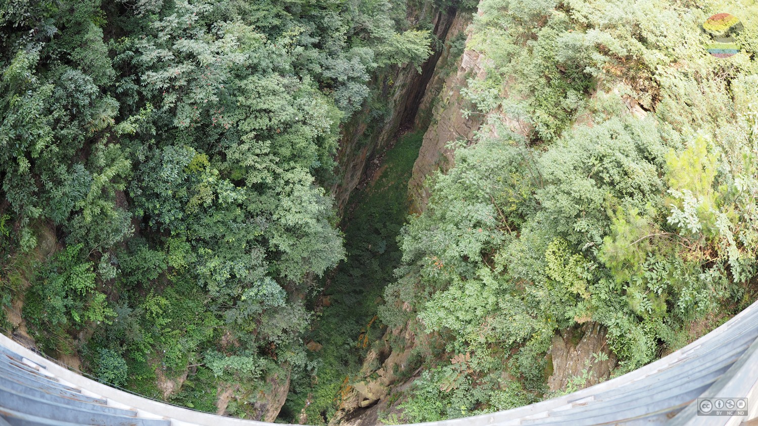 picture 31