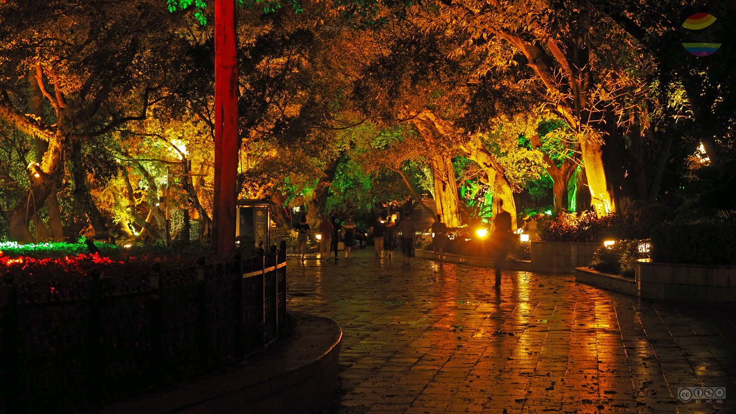 picture 65